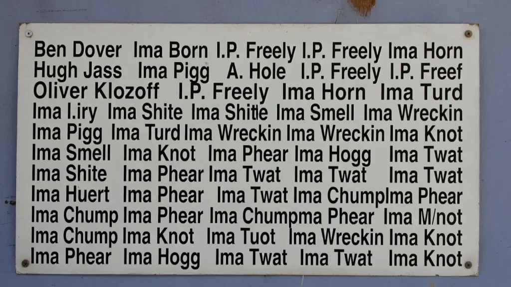 Silly Character Names