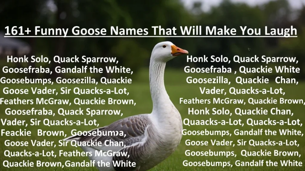 Cute and Funny Goose Names for Pets