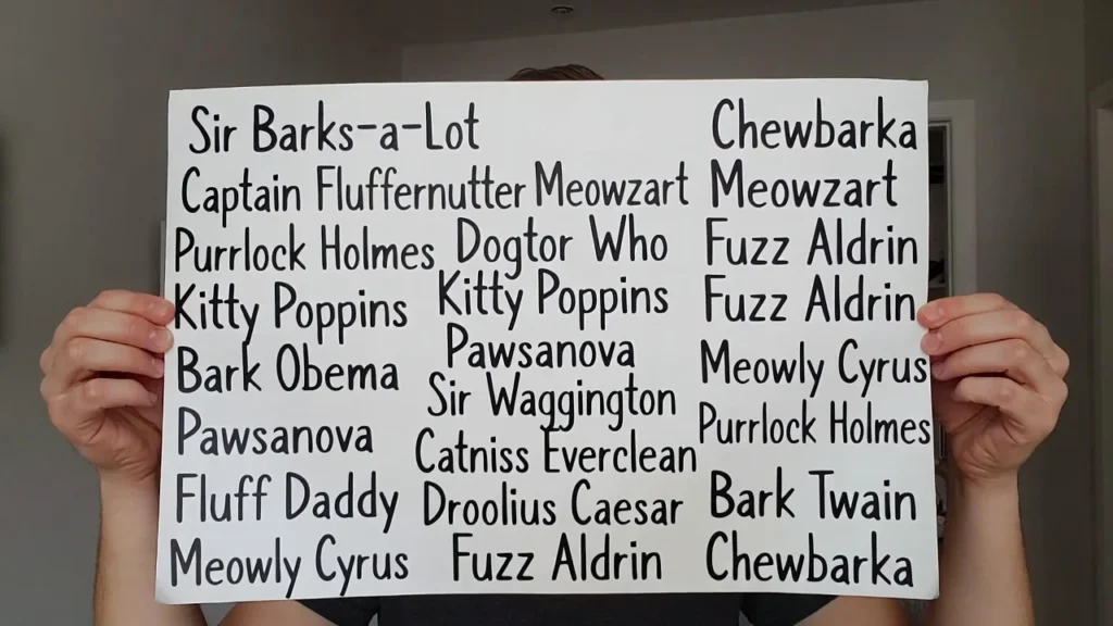 Cute and Funny Pet Names for Adorable Pets