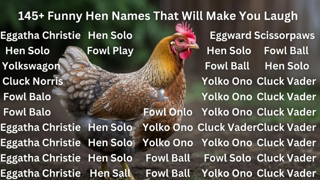 145+Funny Hen Names That Will Make You Laugh
