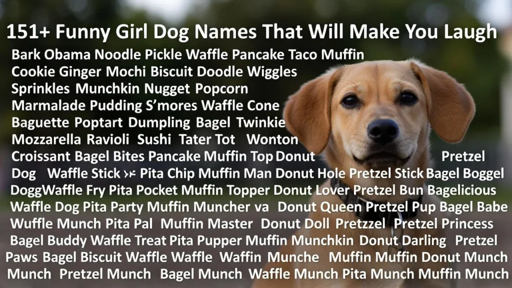 151+ Funny Girl Dog Names That Will Make You Laugh