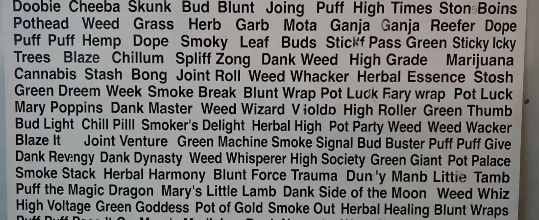 160+ Funny Names for Weed That Will Make You Laugh ๐ฟ๐