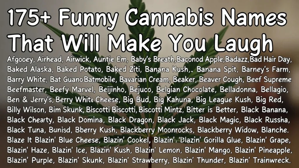 175+Funny Cannabis Names That Will Make You Laugh