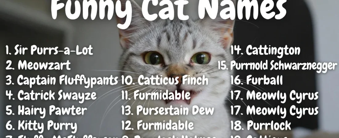 175+Funny Cat Names That Will Make Everyone Laugh 😹