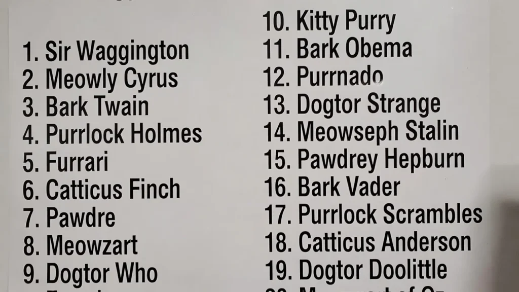 Funny Pet Names That Will Make You Smile