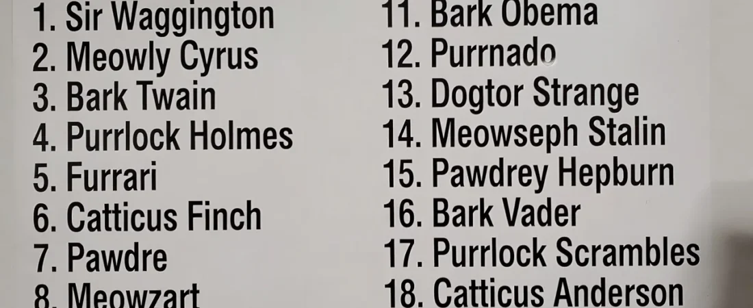 299+ Funny Pet Names That Will Make You Smile