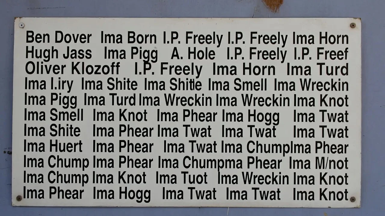 Silly Character Names